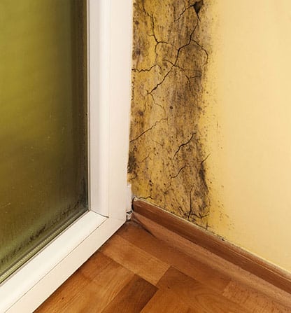 Mold Inspection Sacramento