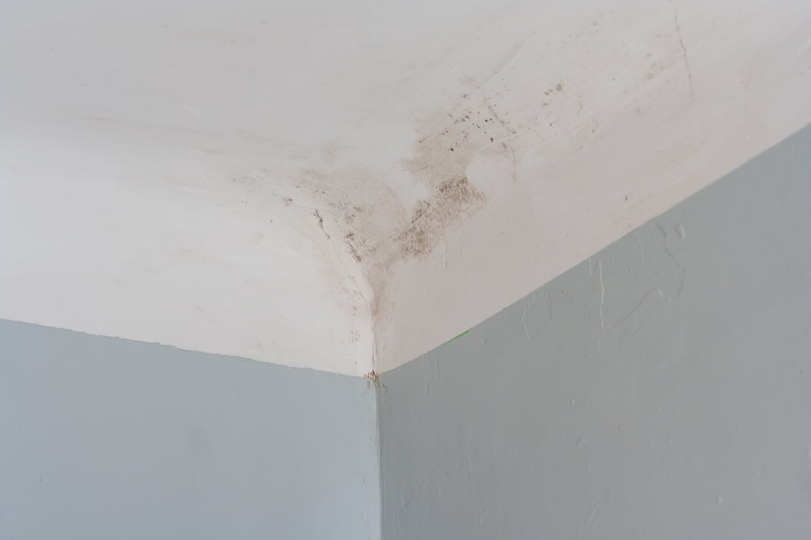 Mold Inspections and Testing