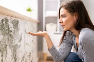 When Should You Schedule Mold Inspection and Testing?